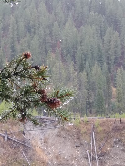 Photos of East Table Creek Campground