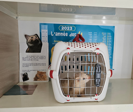 Cabinet Vétérinaire de la Fare