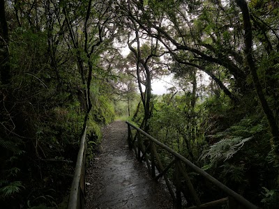 Photos of Cotacachi Volcano