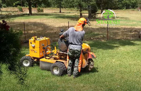 tree trimming service