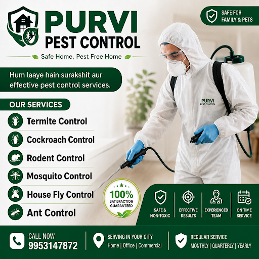 20% Off on Pest Control Services post image