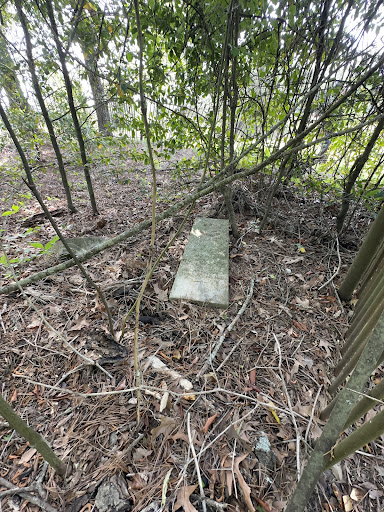 Slave Cemetery - Visual