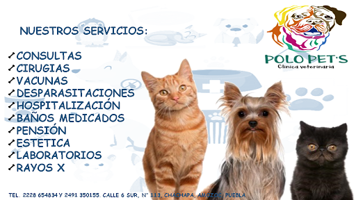 Polo Pets