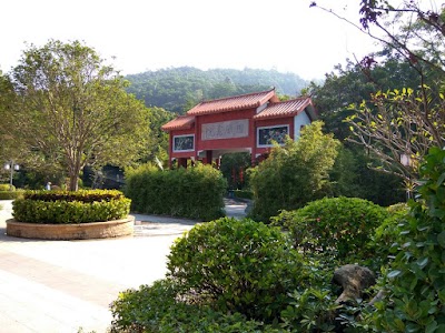 Photos of Fenghuangshan Forest Park