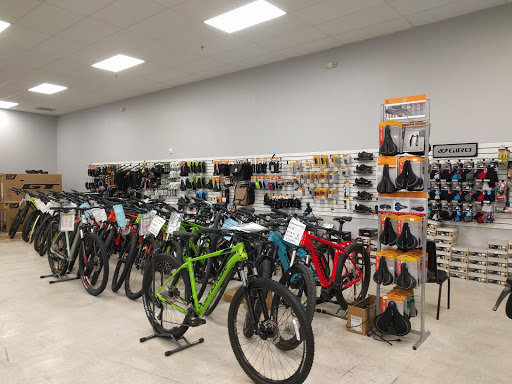 Action Bikes - Visual