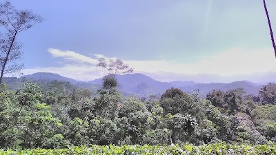 Photos of Gunung Kancana