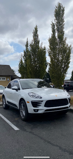 PDX Window Tint - Visual