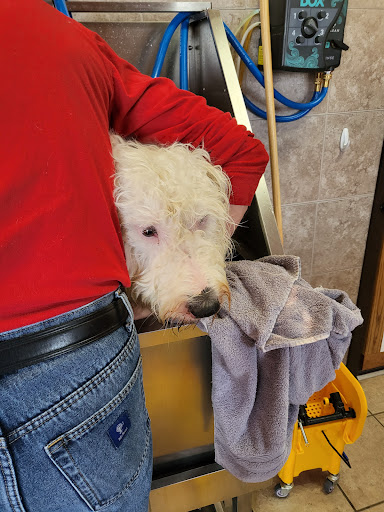 DIY Dog Wash - Thumbnail
