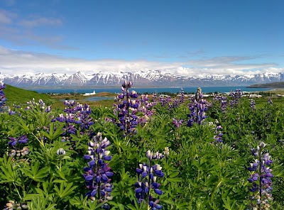 Photos of Sk&iacute;&eth;asv&aelig;&eth;i Dalv&iacute;kur