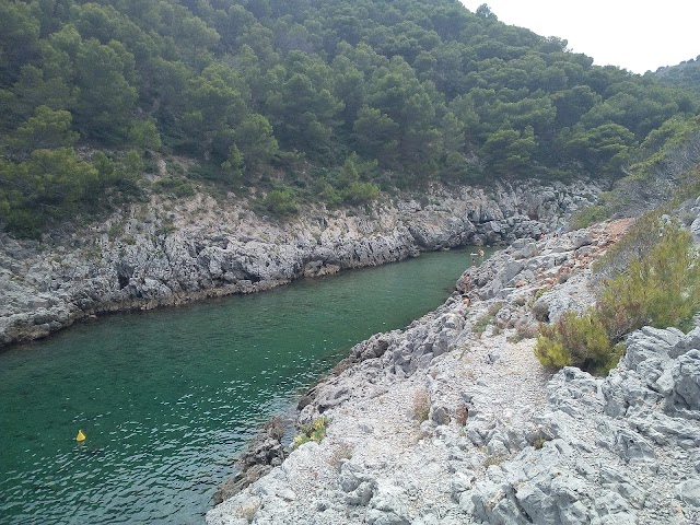 Cala Pedrosa