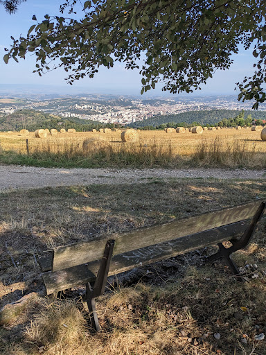 Bench with a view - Thumbnail