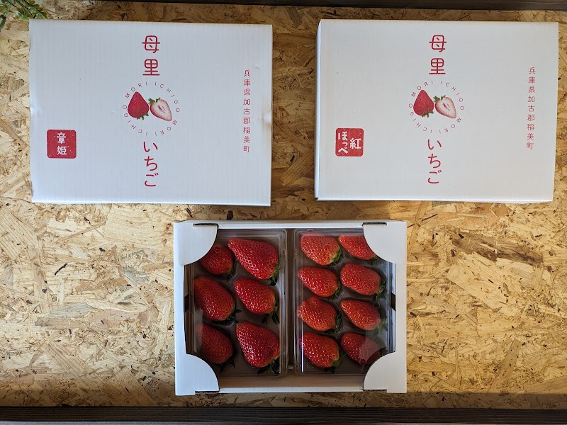 いちごとトマトの「母里農園」