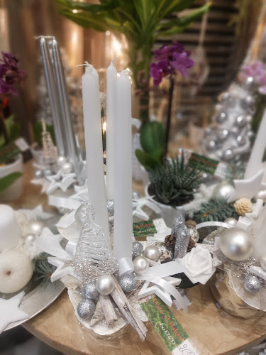 Fleurs et Nature by Enzo - Mulhouse