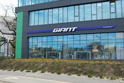GIANT FORDOŃSKA