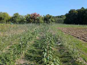 Photo n°5 de La Ferme de l'Auneau à Buzançais (Ferme bio)