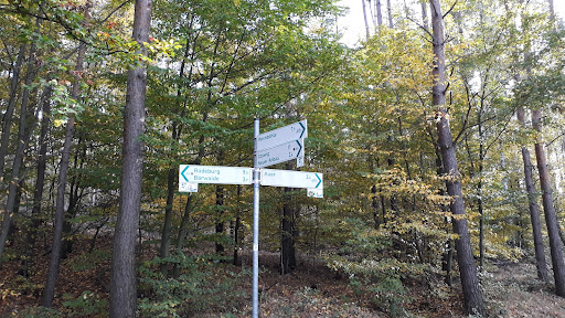 Oberer Altenteich - Thumbnail