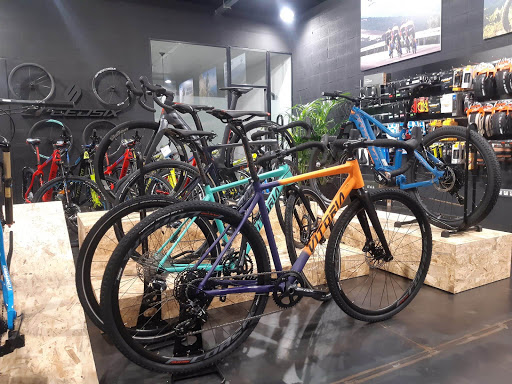 DRAGOBIKES - Thumbnail