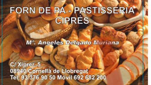 Ciprés - Visual