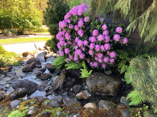Southern Oregon Cremation Services Gallery - United States
