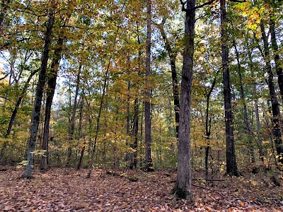 Clark State Forest