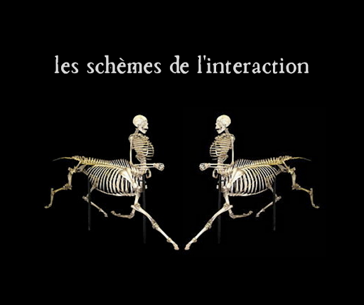 transientera_les frontalières Gallery - France
