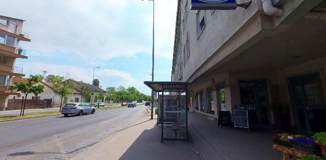 Hozzászólások és értékelések az Heliconia-Virágsziget-ról