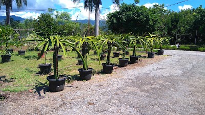 Photos of BALITBU TROPIKA