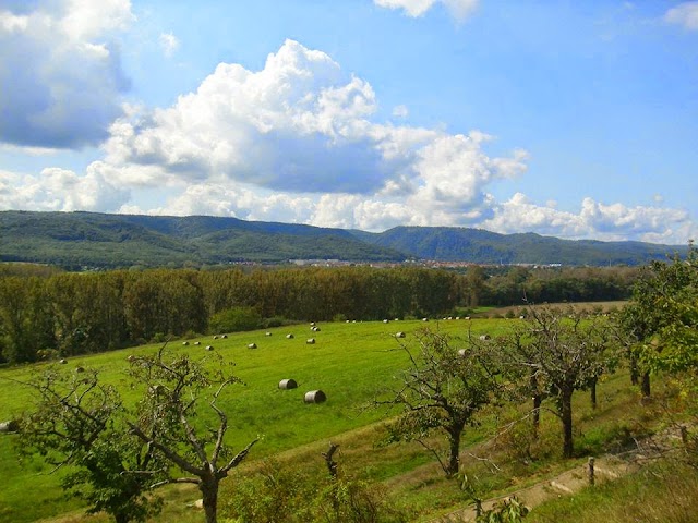 Devil's Wall - grandfather