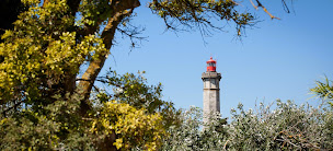 Photo n°13 de Camping Les Baleines Ile de Ré à Saint-Clément-des-Baleines (Terrain de camping)