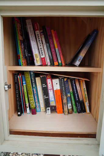 Cottonwood Park Little Library Gallery - United States