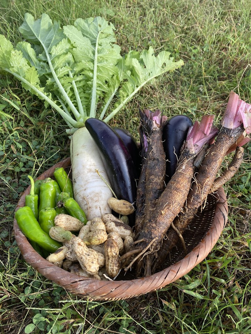 お食事処 あさつゆ