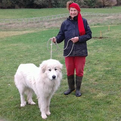 Photos of White Pyrenees Inn Patagonia