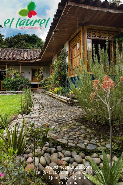 Photos of El Laurel