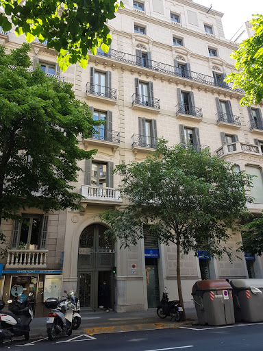 Forvis Mazars - Visual