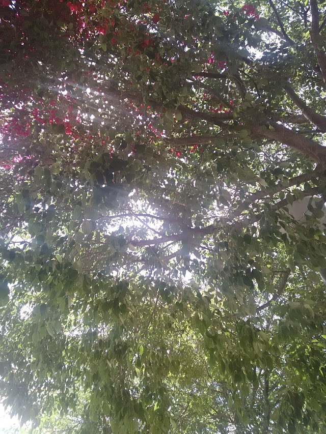 Jardín Botánico