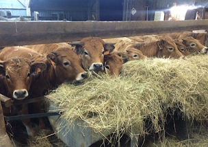 Photo n°4 de Boucherie Comptoir La Normande à Boisney (Boucherie)