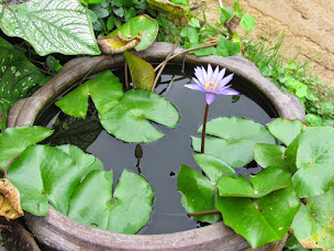 Photo n°1 de Laurence Milhac Sophrologue Dordogne à Cénac-et-Saint-Julien (Centre de bien-être)