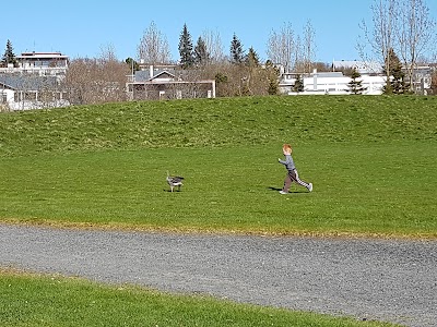 Photos of Fj&ouml;lskyldu- og H&uacute;sd&yacute;ragar&eth;urinn