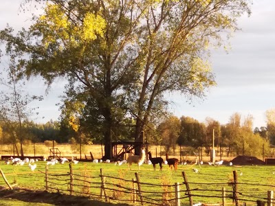 Photos of B&B Shambala HN