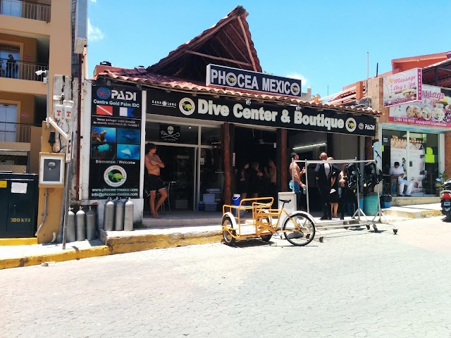 Phocea Mexico - PADI IDC Gold Palm Center