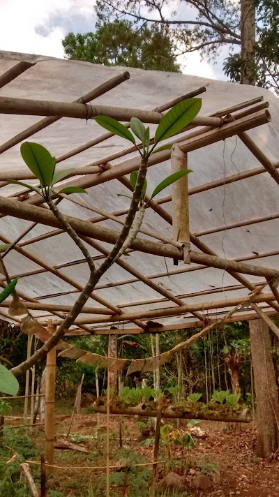 Photos of Finca Amrta