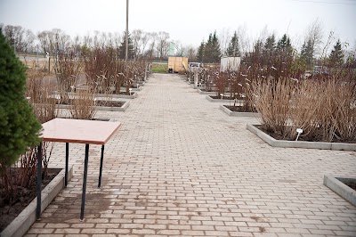 Photos of Babtų medelynas