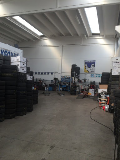 Pneumax gomme - Visual