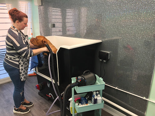 Fur-Ever Friends Holbeach Dog Grooming and Raw Dog Food - Thumbnail