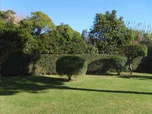 Emmesse Giardinaggio