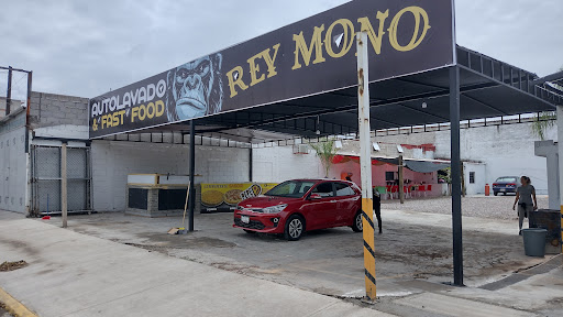 REY MONO - Visual