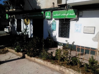 Photos of BNA AIN TAYA 646