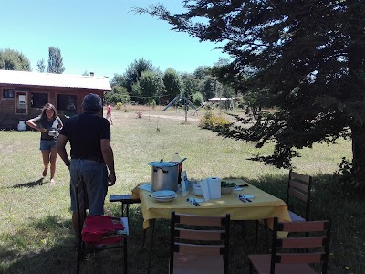 Photos of Donde Yoyo