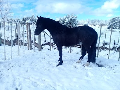 Photos of Solo Monta&ntilde;as