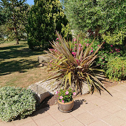 Photo n°7 de GK-services à Talmont-Saint-Hilaire (Jardin)